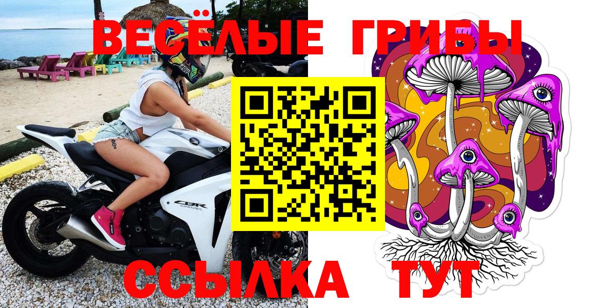 купить наркоту  Псилоцибиновые грибы Psilocybe  Галлюциногенные грибы Psilocybe  Вход с VPN  Джанкой 